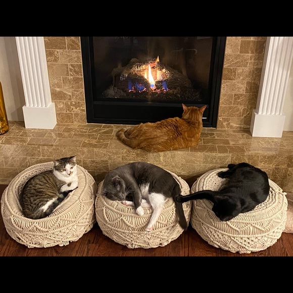 Meet your Posher, Caroline - Picture 2 of 7